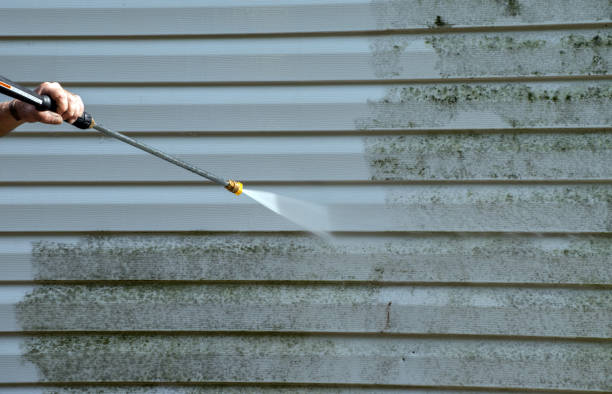 Best Attic Mold Removal  in Prairie City, IA