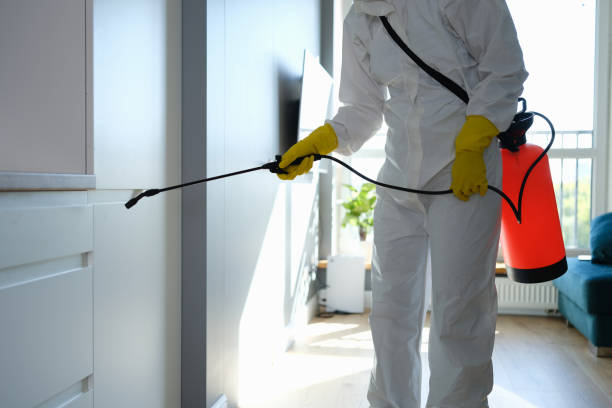 Mold Testing and Removal in Prairie City, IA