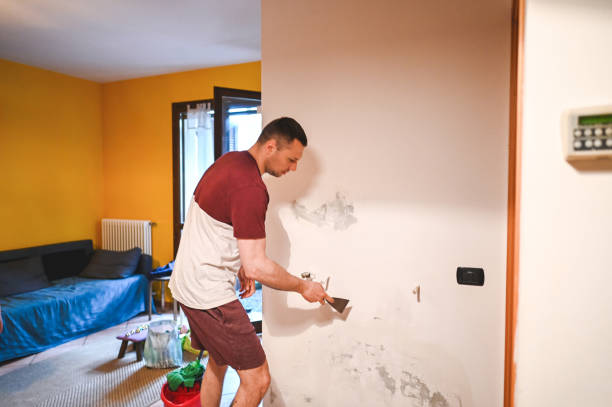Best Best Mold Removal Companies  in Prairie City, IA